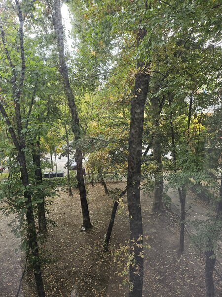 Bd. Ion Mihalache nr 166-Piata Domenii, metrou 1 Mai